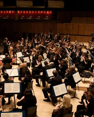 Golden! A K-Pop Kids Party