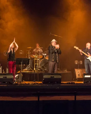 Jazz Under The Stars