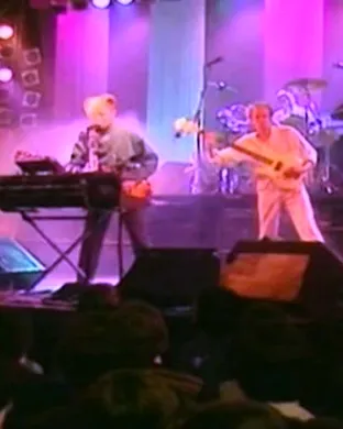 A Flock of Seagulls