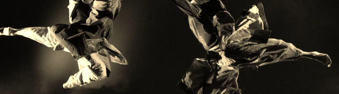 Aakash Odedra Company