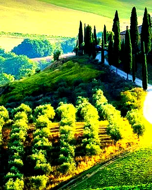American Airlines Global Wine Dinner Series: Into The Mountains - Switzerland, Austria and Hungary
