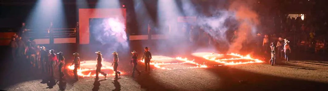 Bulls, Bands And Barrels