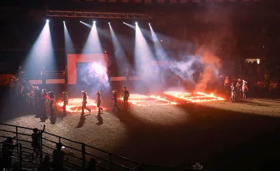 Bulls, Bands And Barrels