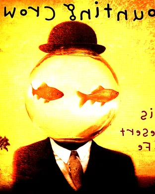 Colorblind, Windwaker & If Not For Me