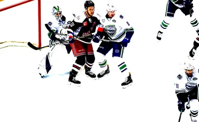Hartford Wolf Pack