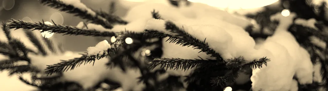 Irving Berlin's White Christmas