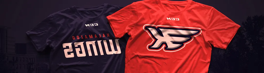 Kalamazoo Wings