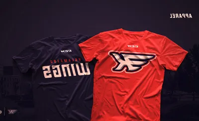 Kalamazoo Wings