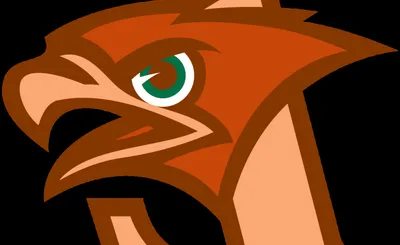 Lafayette Leopards Football