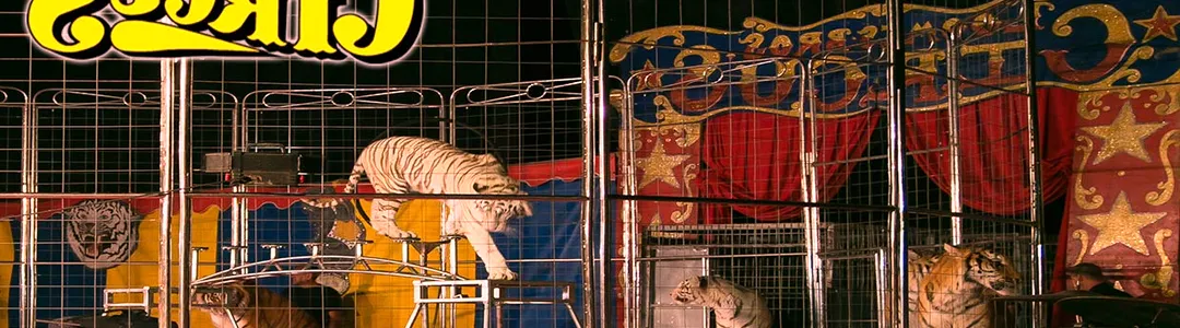 Loomis Bros. Circus