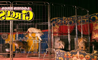 Loomis Bros. Circus