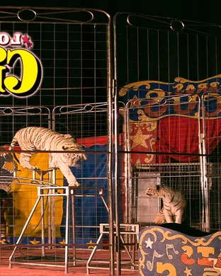 Loomis Bros. Circus event