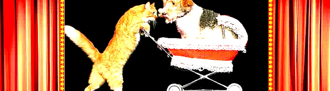 Popovich Comedy Pet Theater