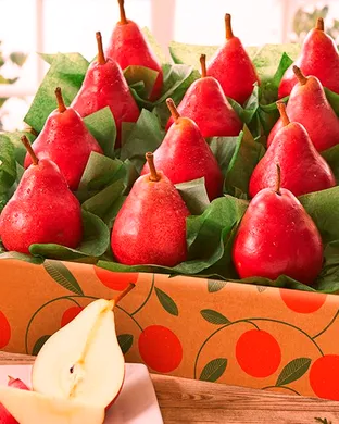 The Red Pears & Together Pangea