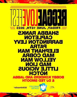 Reggae Fest: Alkaline