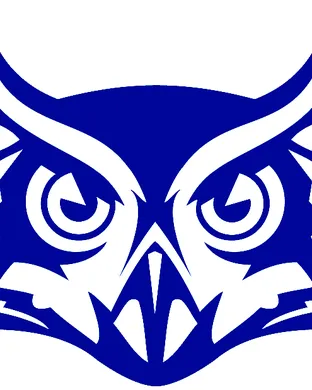Rice Owls