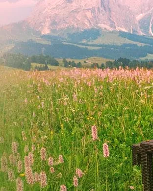 Rick Steves' Europe: A Symphonic Journey Allentown