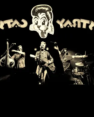 Stray Cats Bethlehem