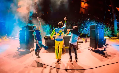 The Polish Ambassador