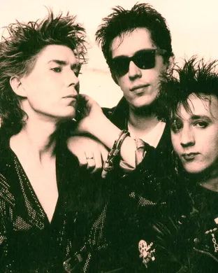 The Psychedelic Furs & Living Colour