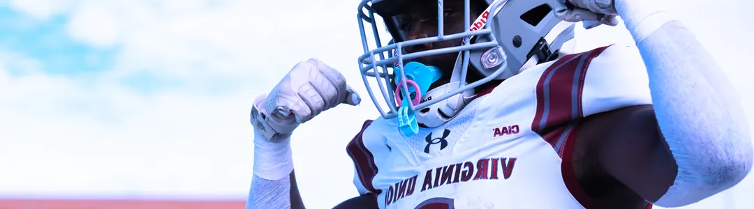 Virginia Union Panthers