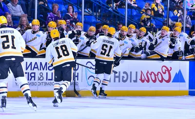 Wilkes-Barre Scranton Penguins