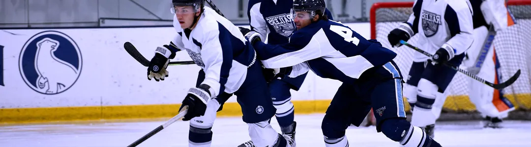 Worcester Railers