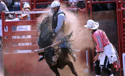 Xtreme Bulls