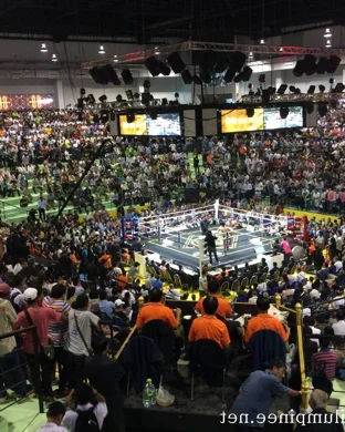 Philly Fight Night sports event