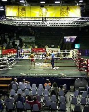 UFC 330