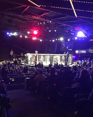 UFC 330 sports event