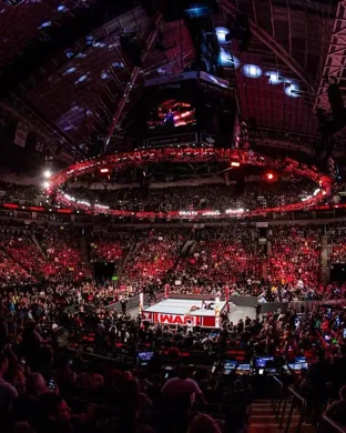 Masked Mania: The Lucha Libre Experience